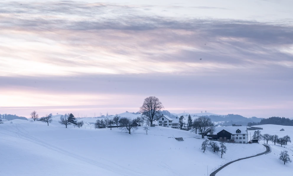 Wädenswil bietet mehr als nur Seeufer. Wer die Hügel hinaufsteigt, findet Ruhe, Weitsicht und unberührte Landschaft.